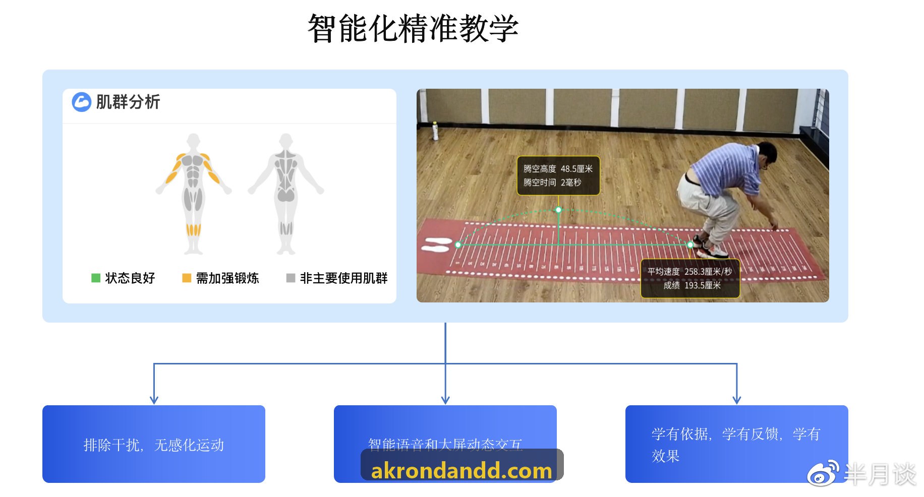 z6.com·(中国区)官方网站技术架构与数据集成中枢